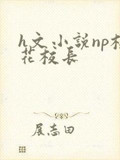 h文小说np校花校长