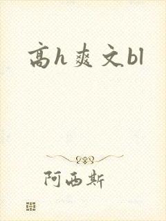 高h爽文bl
