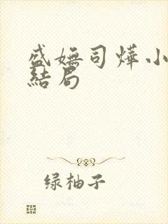 盛妩司烨小说大结局