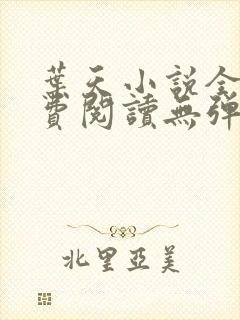 叶天小说全文免费阅读无弹窗