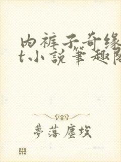 内裤子奇缘txt小说笔趣阁