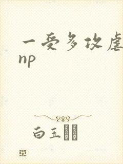 一受多攻虐受文np