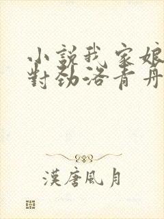 小说我家娘子不对劲洛青舟全文下载封面