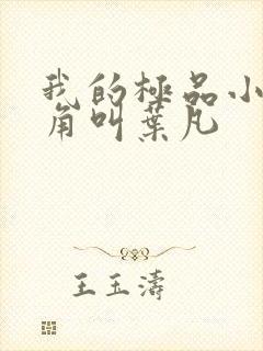 我的极品小姨主角叫叶凡