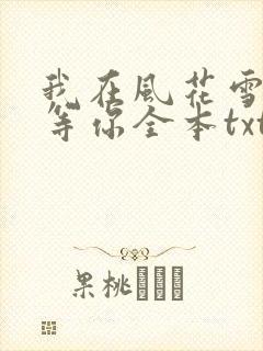 我在风花雪月里等你全本txt下载