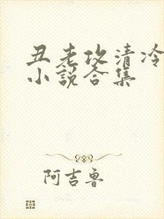 丑老攻清冷美人小说合集