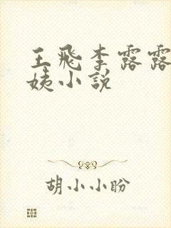王飞李露露沈阿姨小说