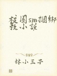 校园sm捆绑调教小说