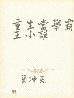 重生当学霸的女主小说