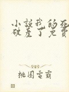 小说我的死对头破产了免费阅读