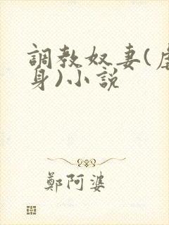 调教奴妻(虐女身)小说封面