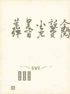 叶昊小说全文无弹窗免费阅读封面