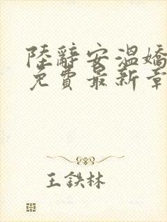 陆辞安温娇全文免费最新章节封面