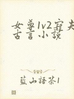 女尊1v2宠夫古言小说