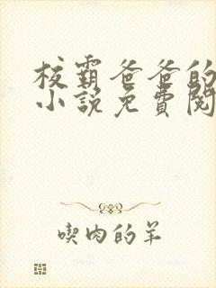 校霸爸爸的秘密小说免费阅读