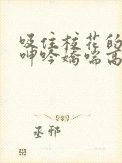 吸住校花的奶头呻吟娇喘高潮小说