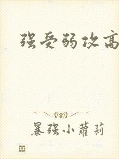 强受弱攻高h