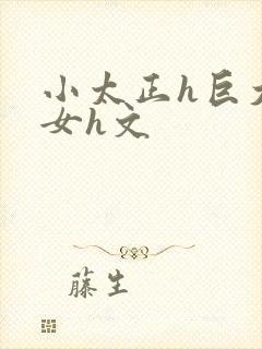 小太正h巨大熟女h文