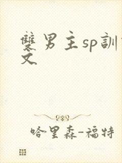 双男主sp训诫文