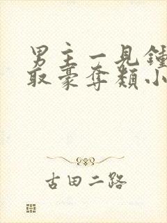 男主一见钟情强取豪夺类小说