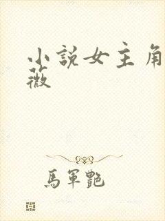 小说女主角叫沈薇封面