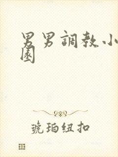 男男调教小说校园封面