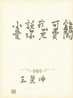 小说我可能不会爱你免费阅读