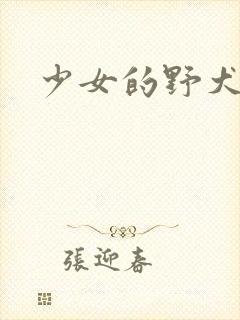 少女的野犬小说
