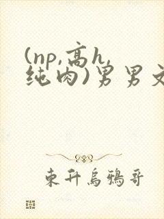 (np,高h,纯肉)男男文