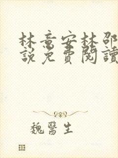 林意安林邵民小说免费阅读最新章节