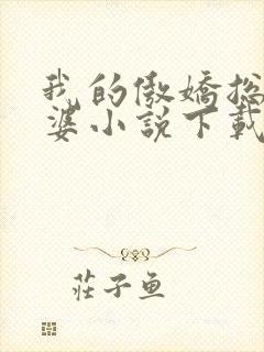 我的傲娇总裁老婆小说下载