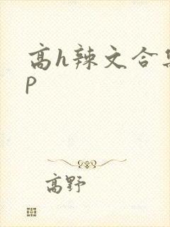 高h辣文合集np