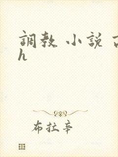调教 小说 高h