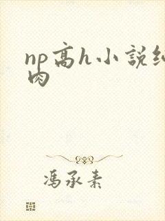 np高h小说纯肉