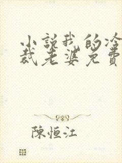 小说我的冷艳总裁老婆免费阅读