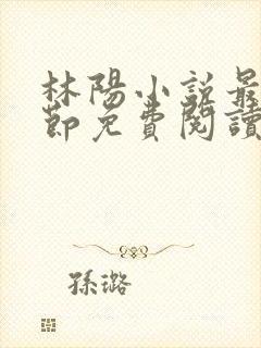 林阳小说最新章节免费阅读全文封面