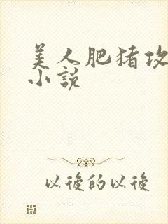 美人肥猪攻雌堕小说封面
