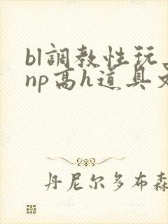 bl调教性玩具np高h道具文