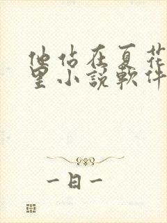 他站在夏花绚烂里小说软件