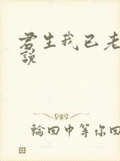 君生我已老的小说
