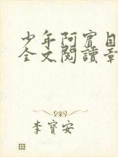 少年阿宾目录及全文阅读章节封面