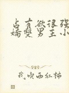 占有欲很强的病娇双男主小说封面