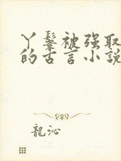 丫鬟被强取豪夺的古言小说