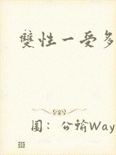 双性一受多攻文封面