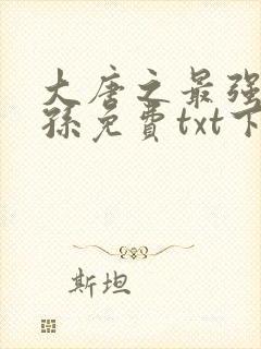 大唐之最强皇太孙免费txt下载