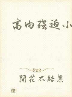 高肉强迫小说封面