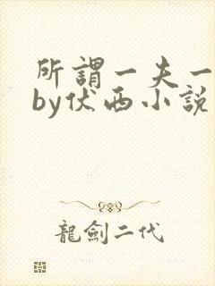 所谓一夫一妻制by伏西小说免费阅读