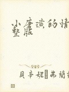 小唐璜的情史完整版封面