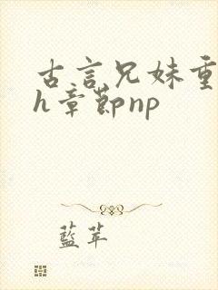 古言兄妹重口高h章节np