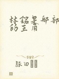 林铭是哪部小说的主角